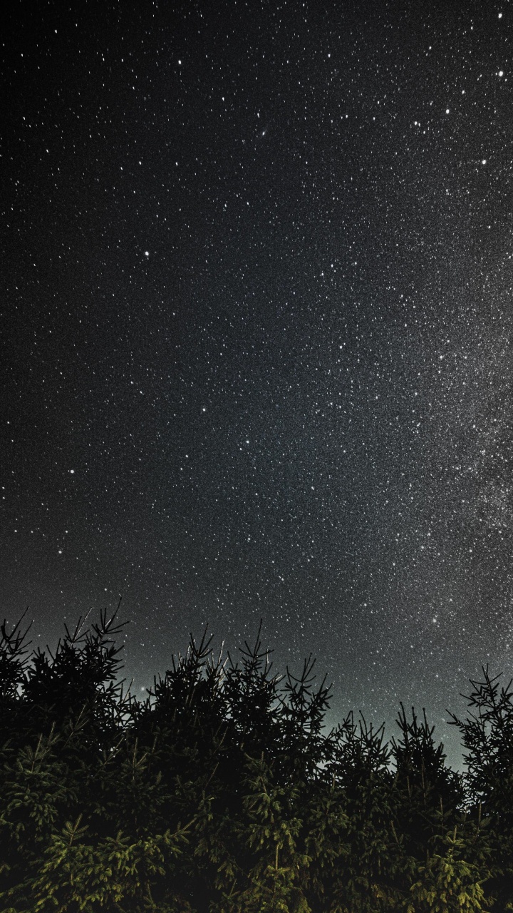 Обои природа, атмосфера, звезда, небо, темнота в разрешении 720x1280