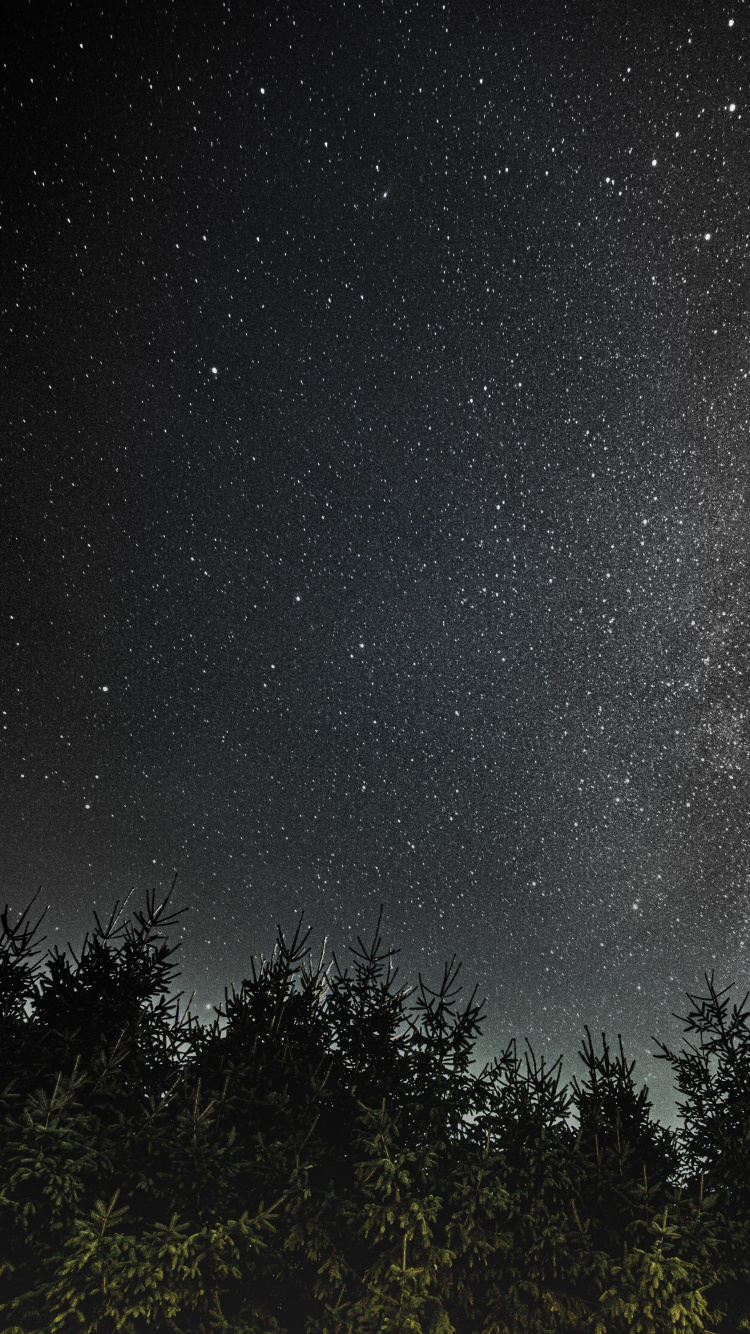 Обои природа, атмосфера, звезда, небо, темнота в разрешении 750x1334