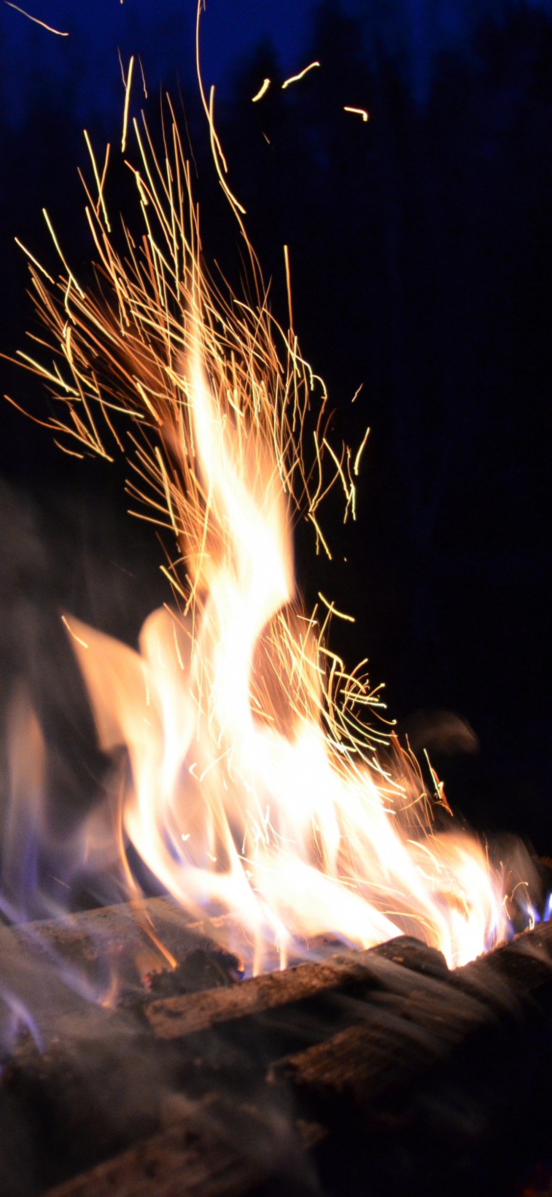Обои огонь, костер, тепло, ночь, дым в разрешении 1125x2436