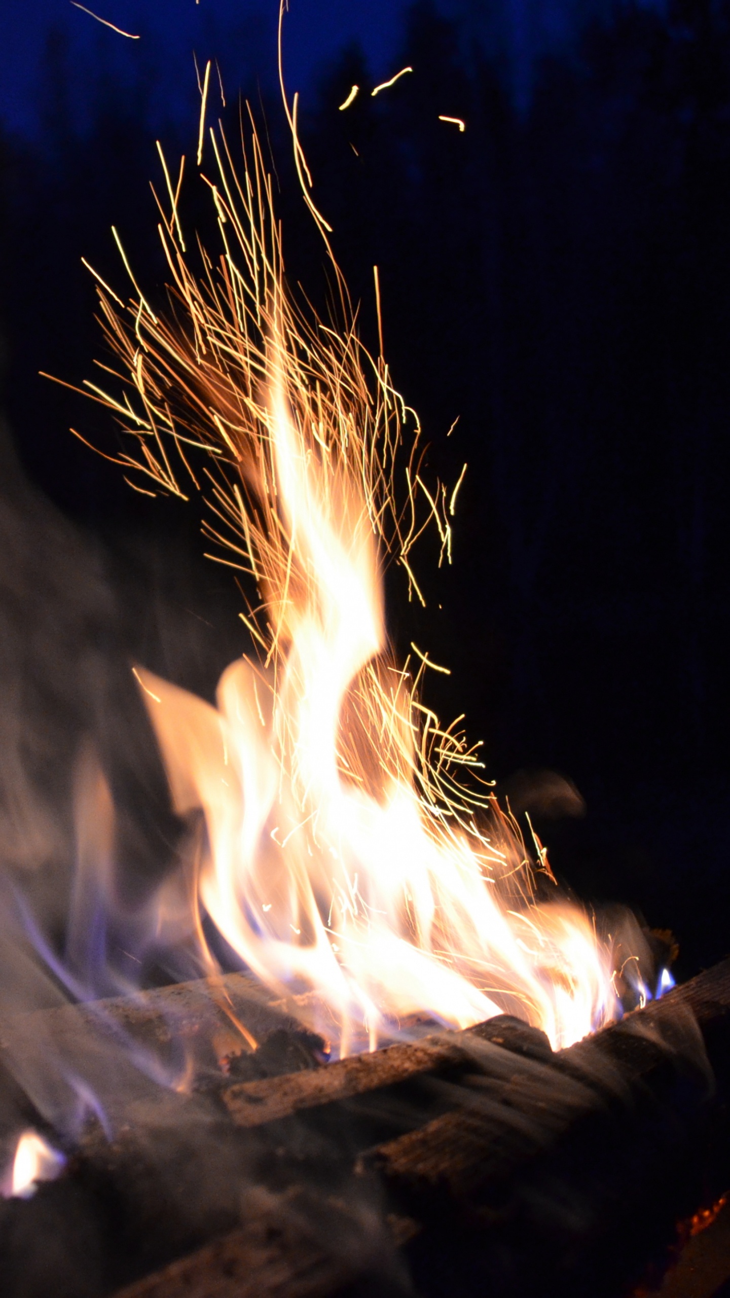 Обои огонь, костер, тепло, ночь, дым в разрешении 1440x2560