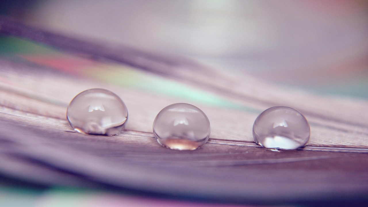 Обои падение, вода, влага, роса, макросъемка в разрешении 1280x720