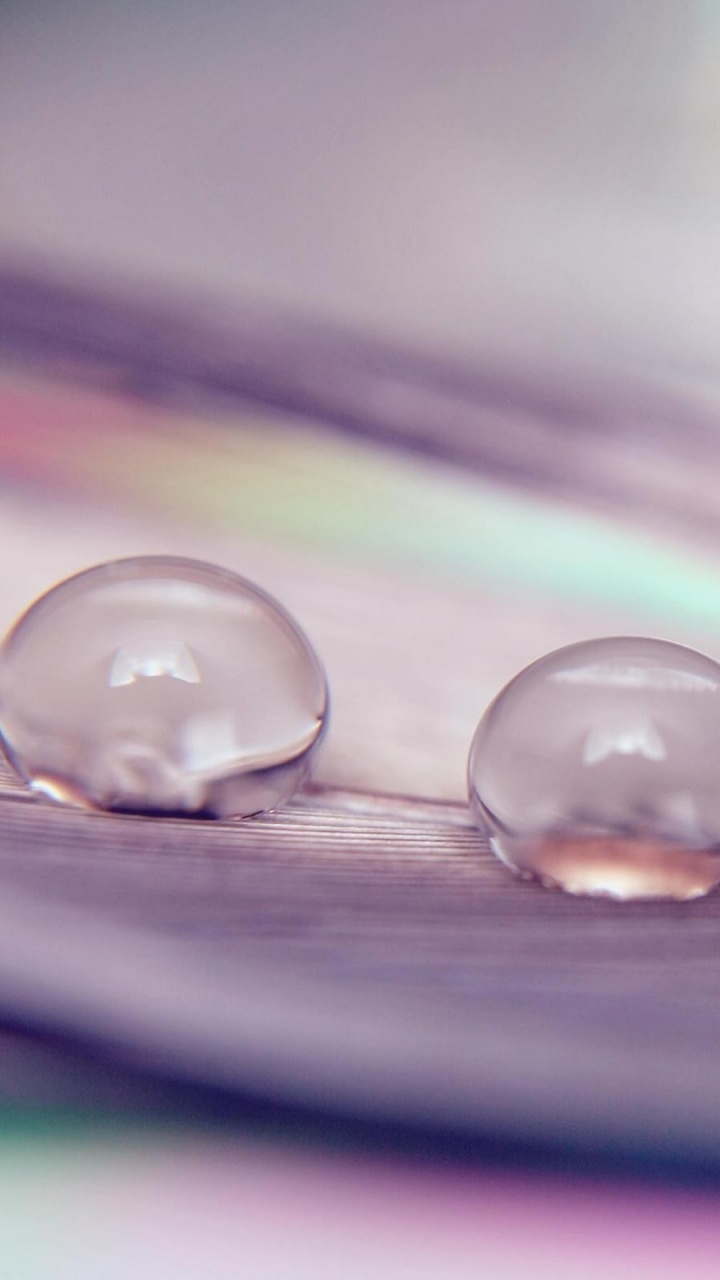 Обои падение, вода, влага, роса, макросъемка в разрешении 720x1280