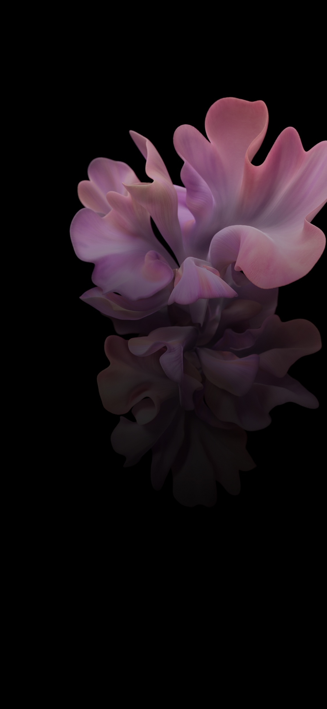 Обои Samsung Galaxy, Samsung, Samsung Galaxy Z Flip, смартфон, складной смартфон в разрешении 1125x2436