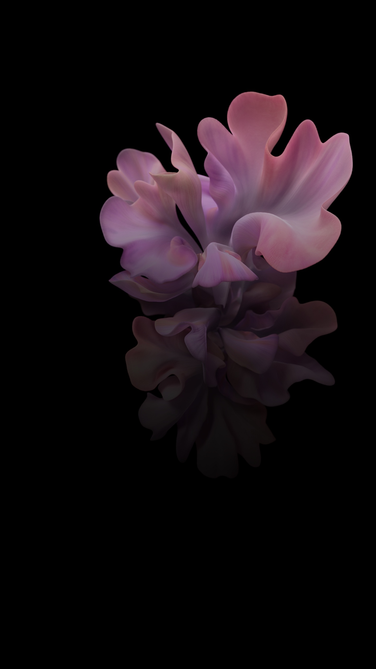 Обои Samsung Galaxy, Samsung, Samsung Galaxy Z Flip, смартфон, складной смартфон в разрешении 1440x2560