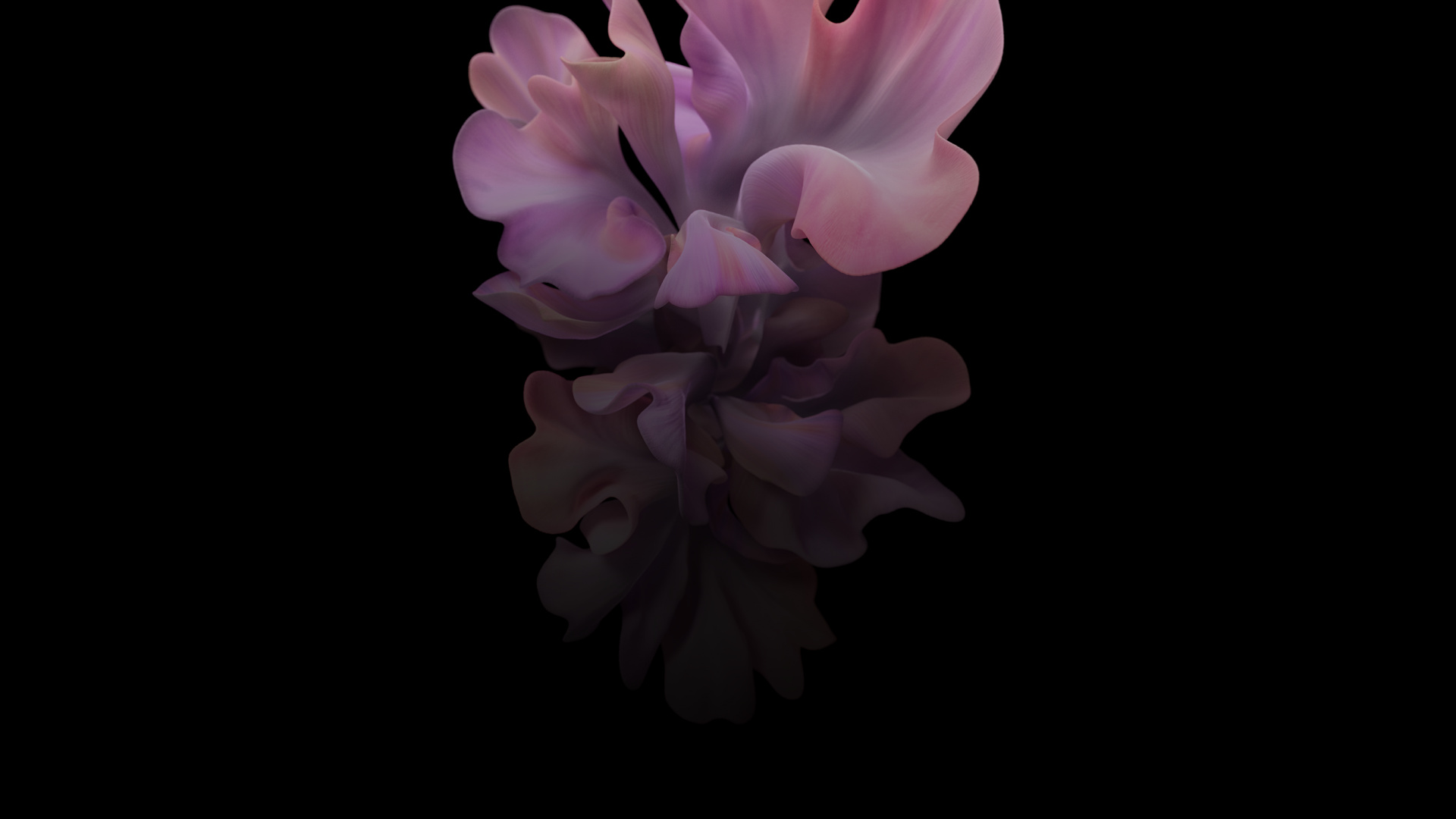 Обои Samsung Galaxy, Samsung, Samsung Galaxy Z Flip, смартфон, складной смартфон в разрешении 1920x1080