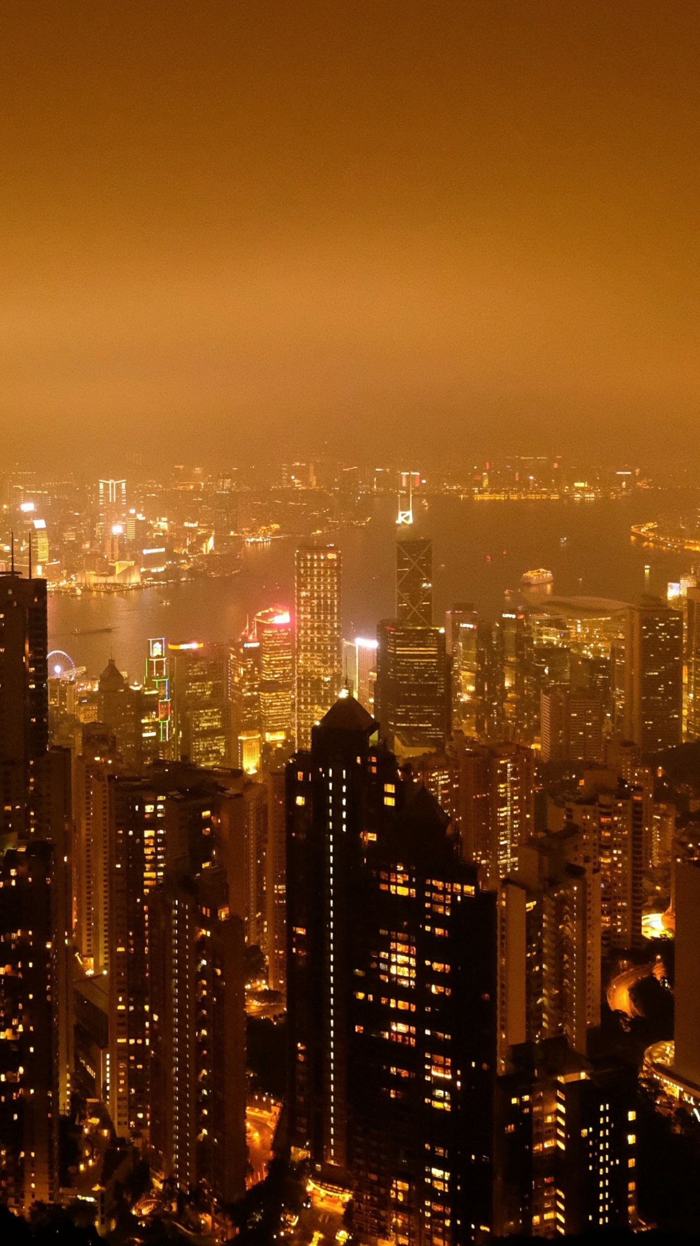 Обои городской пейзаж, ночь, панорама, город, метрополия в разрешении 1440x2560