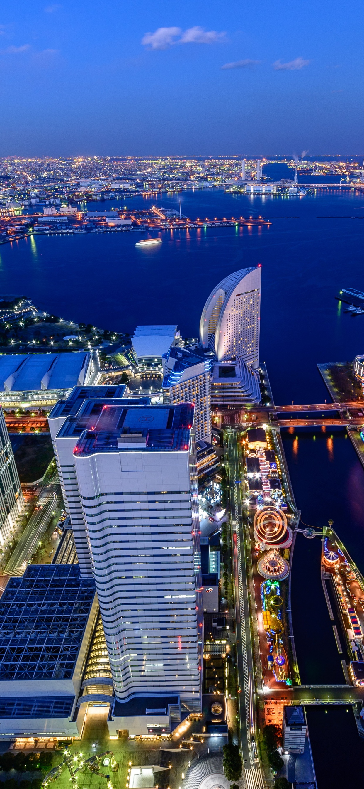 Обои токийская башня, достопримечательность, городской район, городской пейзаж, город в разрешении 1242x2688