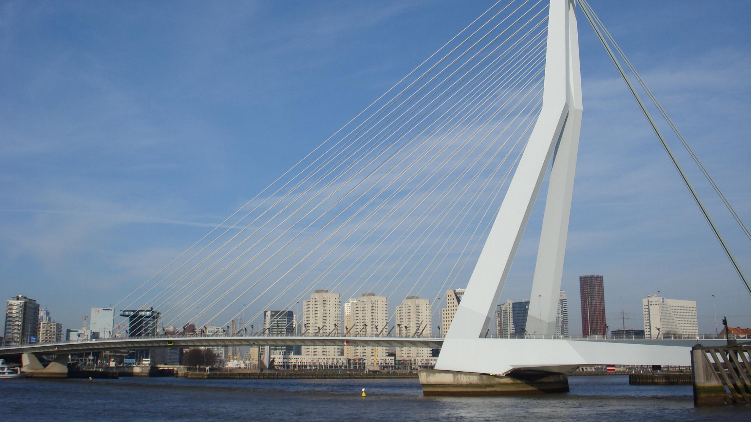 Обои вантовый мост, мост, extradosed мост, подвесной мост, ориентир в разрешении 2560x1440