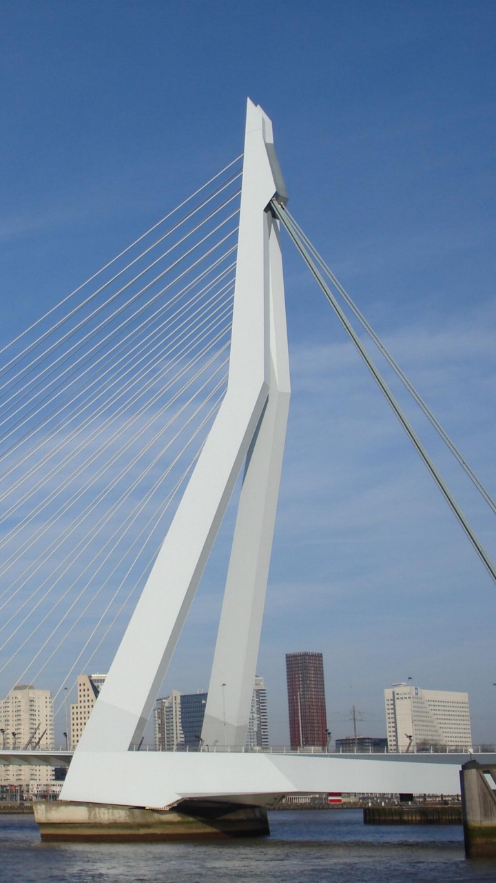 Обои вантовый мост, мост, extradosed мост, подвесной мост, ориентир в разрешении 720x1280