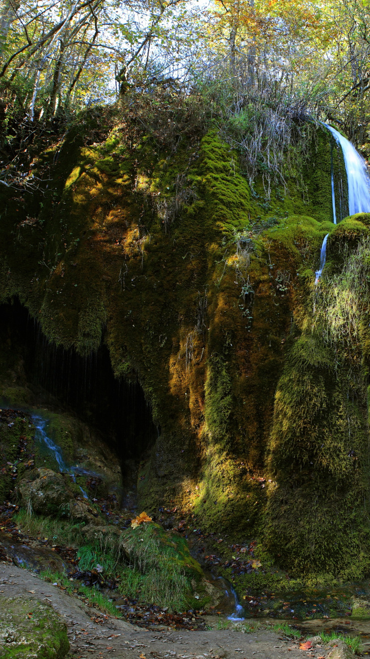 Обои водопад, природа, водоем, природный заповедник, вода в разрешении 750x1334