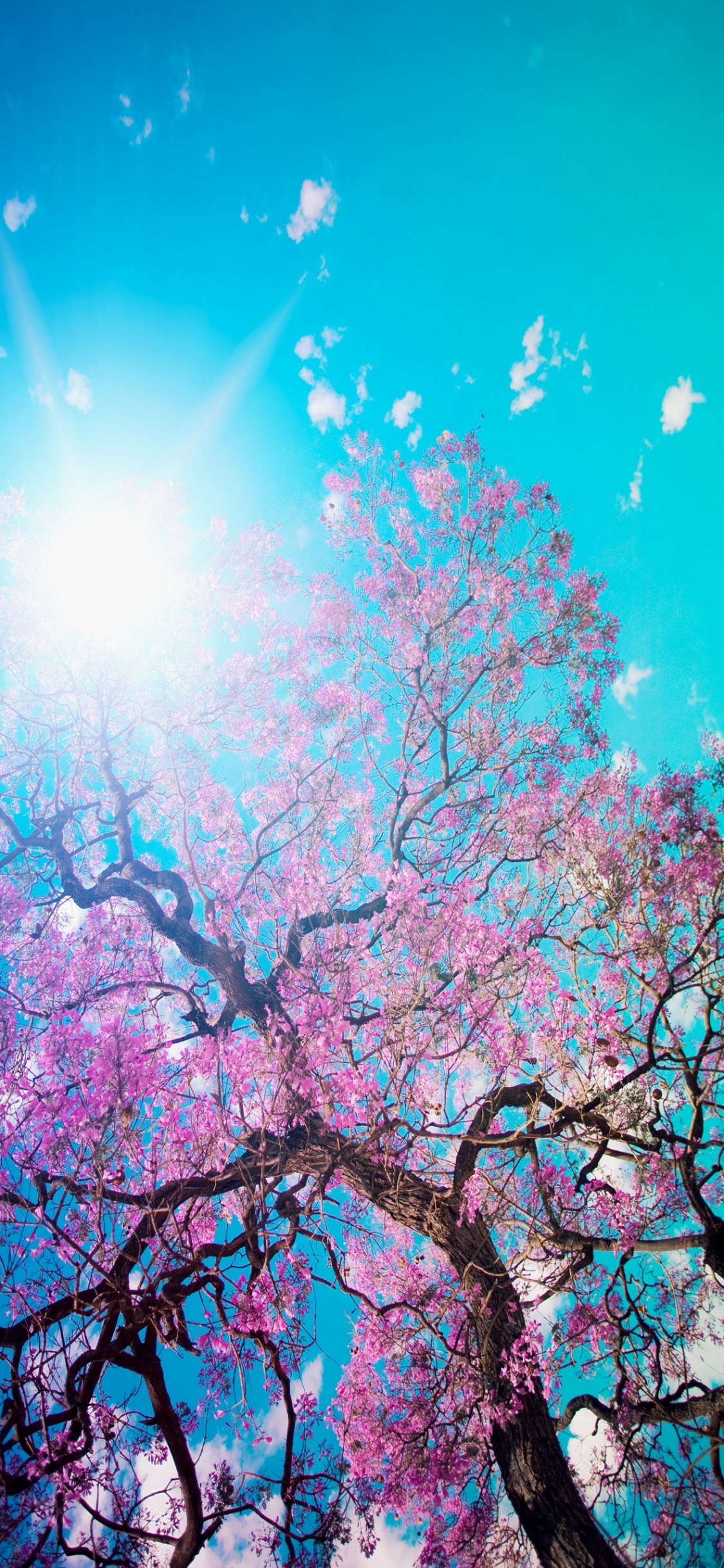 Обои холодильник, дверь, наклейка, окно, растение в разрешении 1125x2436