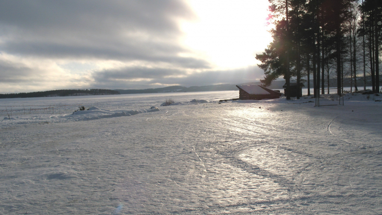 Обои снег, облако, дерево, утро, солнечный свет в разрешении 1280x720