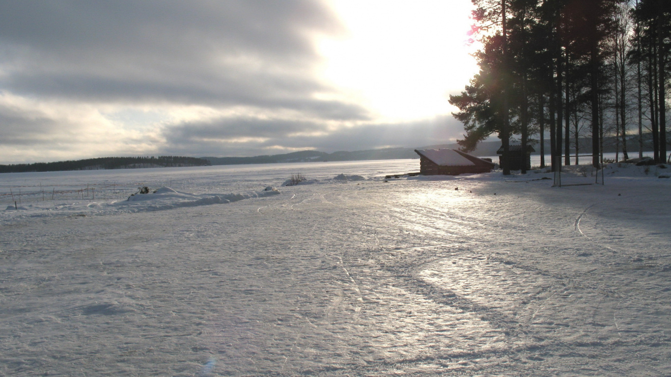 Обои снег, облако, дерево, утро, солнечный свет в разрешении 1366x768