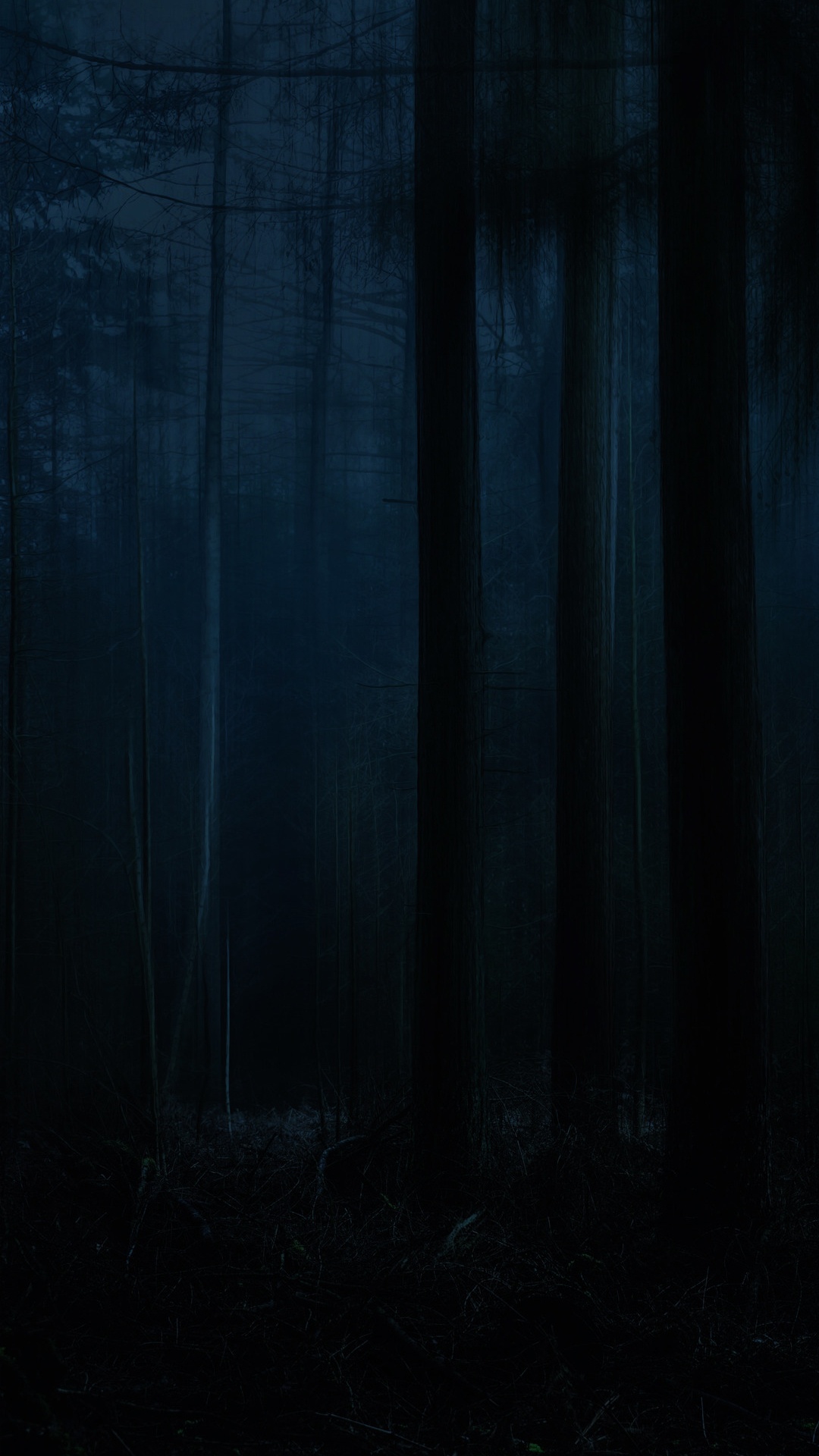 Обои природа, природный ландшафт, древесина, серый цвет, растение в разрешении 1080x1920