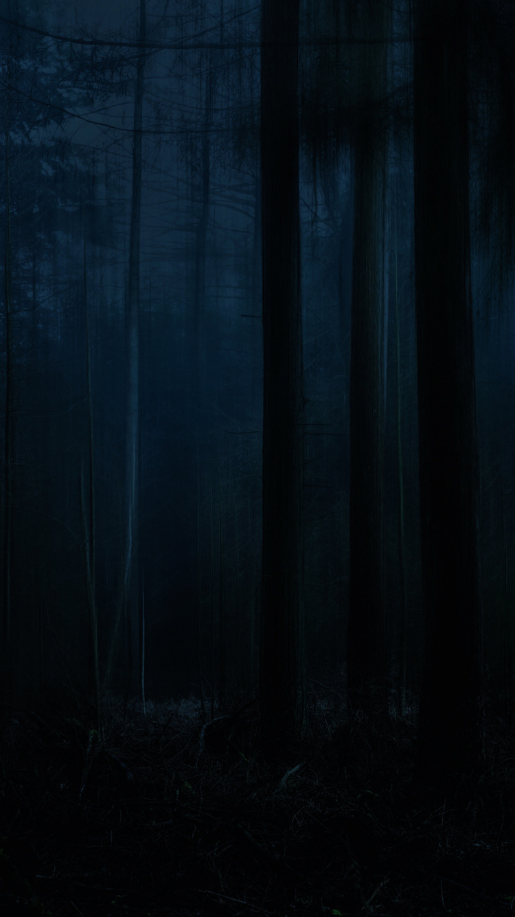 Обои природа, природный ландшафт, древесина, серый цвет, растение в разрешении 750x1334