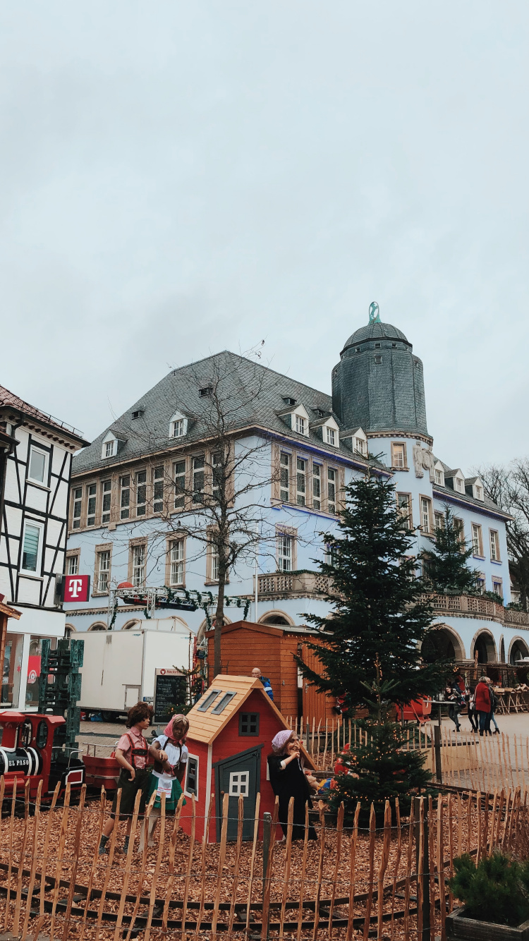 Обои крыша, окно, здание, городок, Дома фехтование в разрешении 750x1334