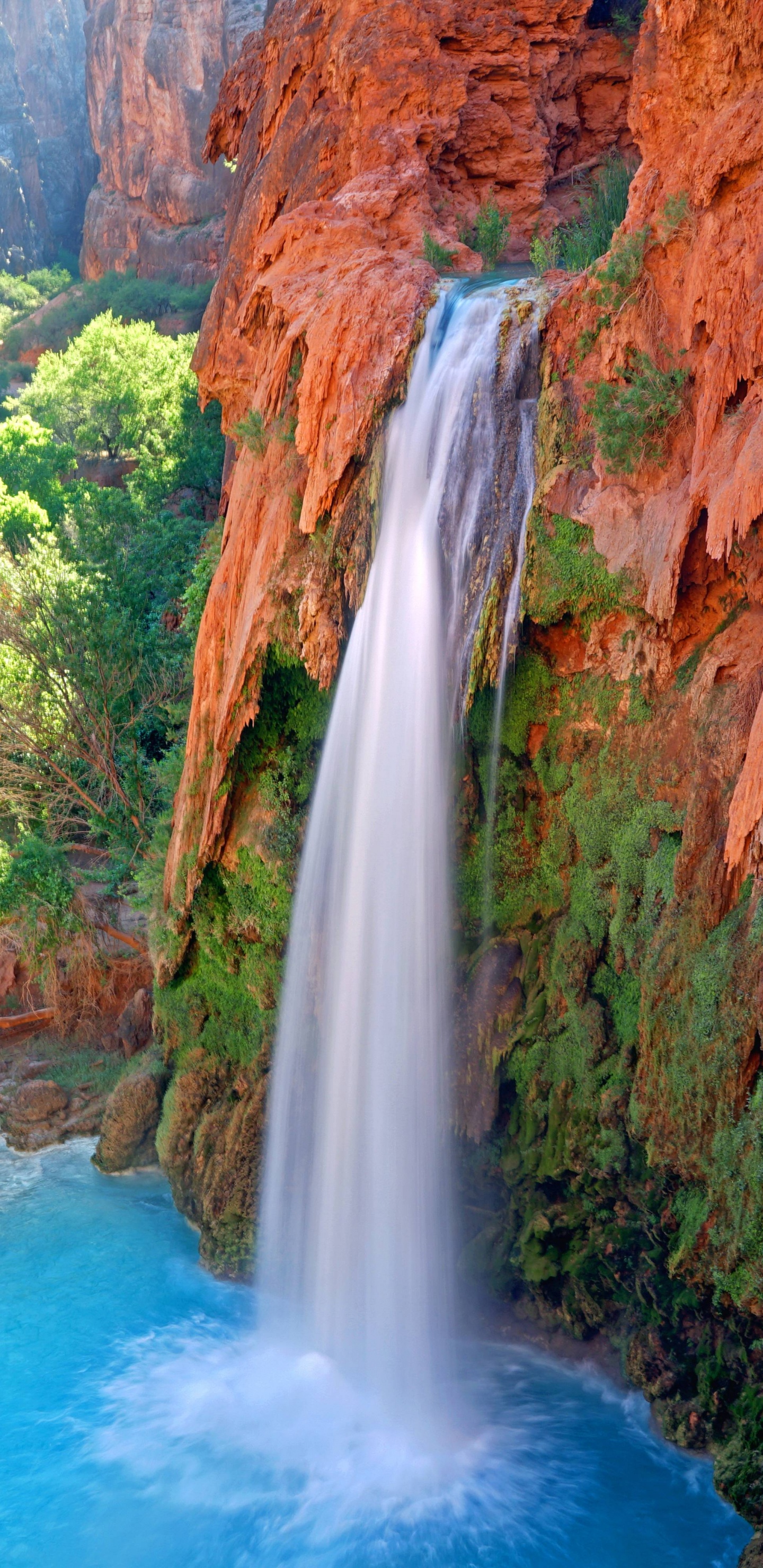 Обои большой каньон, водопад, водопад Виктория, гидроресурсы, водоем в разрешении 1440x2960