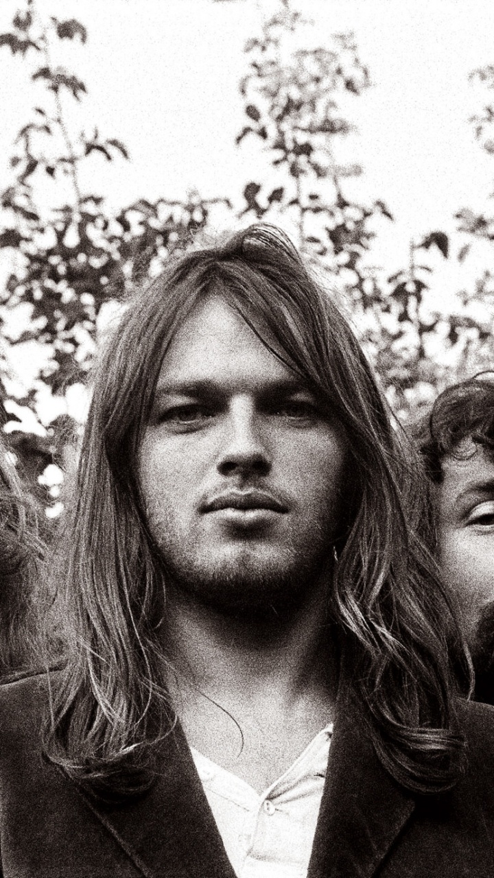Обои Pink Floyd, волосы, волосы на лице, человек, борода в разрешении 720x1280