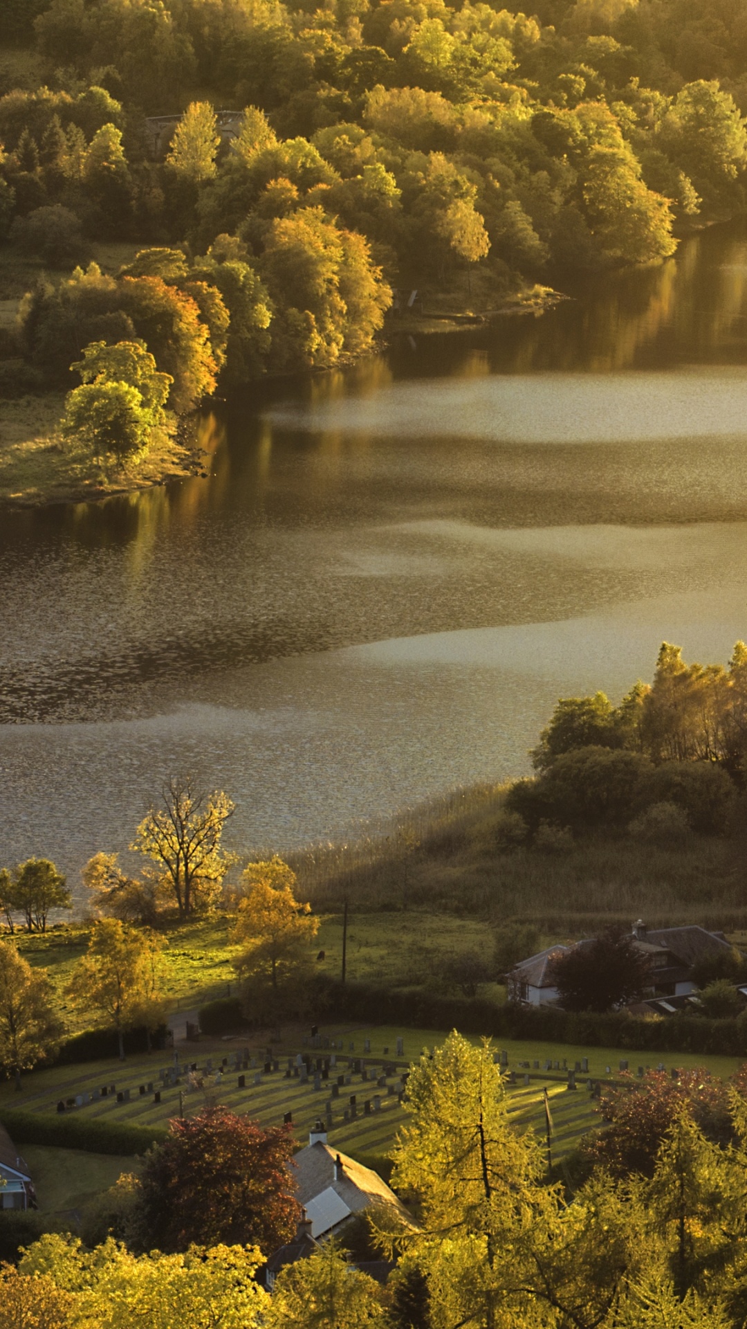 Обои природа, вода, гидроресурсы, растение, растительное сообщество в разрешении 1080x1920