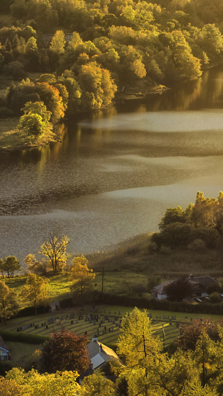 Обои природа, вода, гидроресурсы, растение, растительное сообщество в разрешении 750x1334