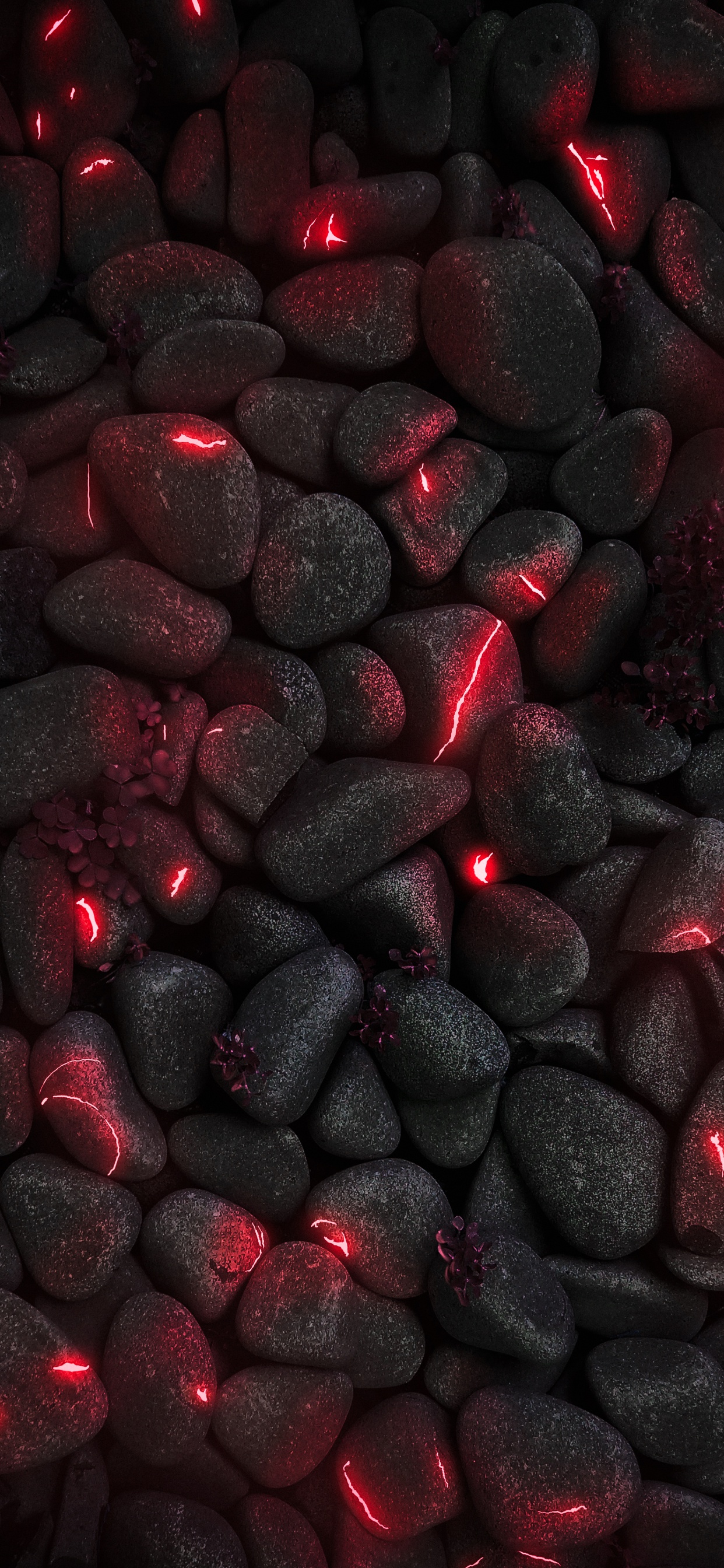 Обои смартфон, ios, автомобильное освещение, автомобильные шины, растение в разрешении 1242x2688