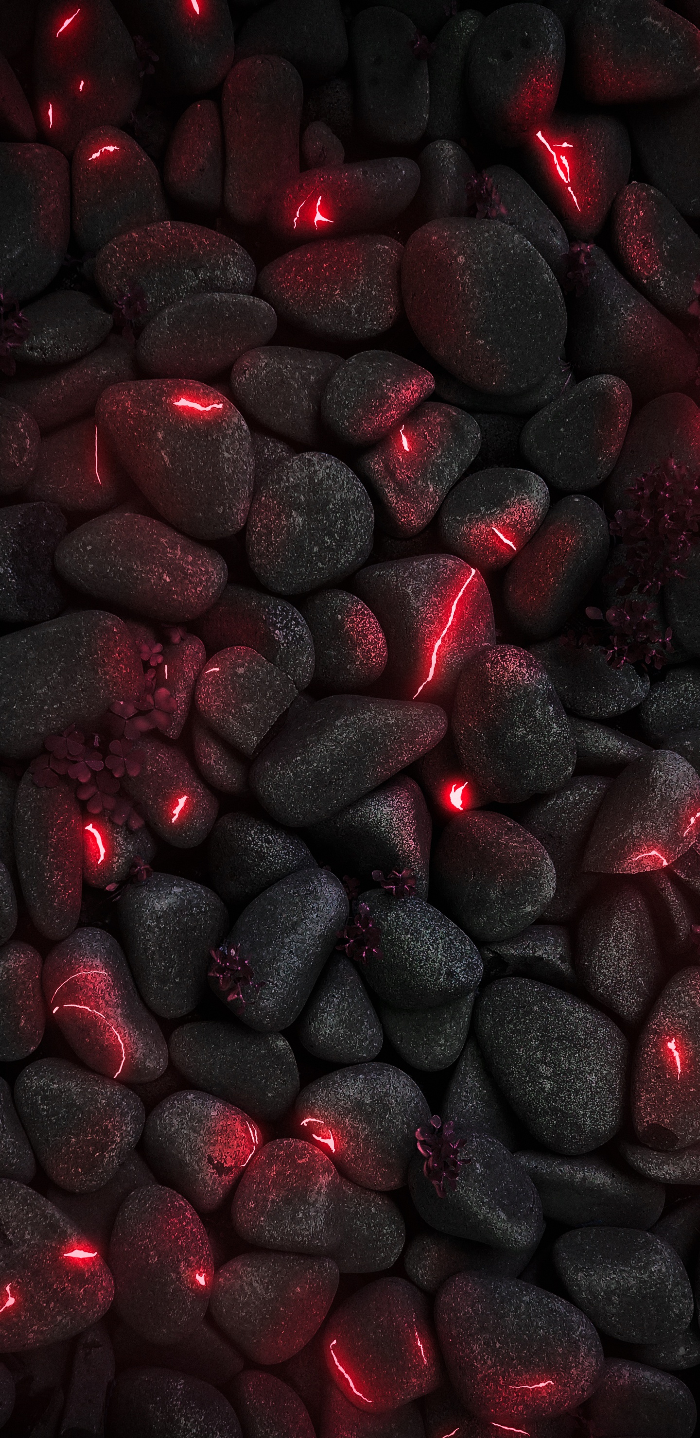 Обои смартфон, ios, автомобильное освещение, автомобильные шины, растение в разрешении 1440x2960