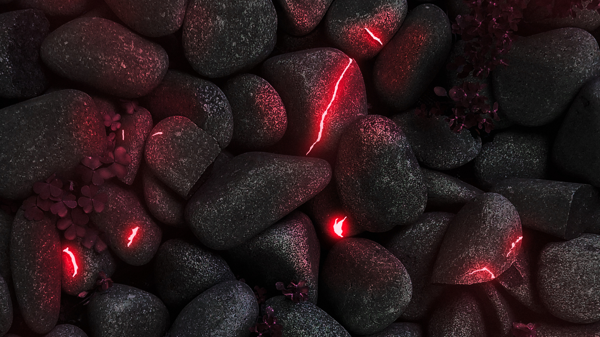 Обои смартфон, ios, автомобильное освещение, автомобильные шины, растение в разрешении 1920x1080