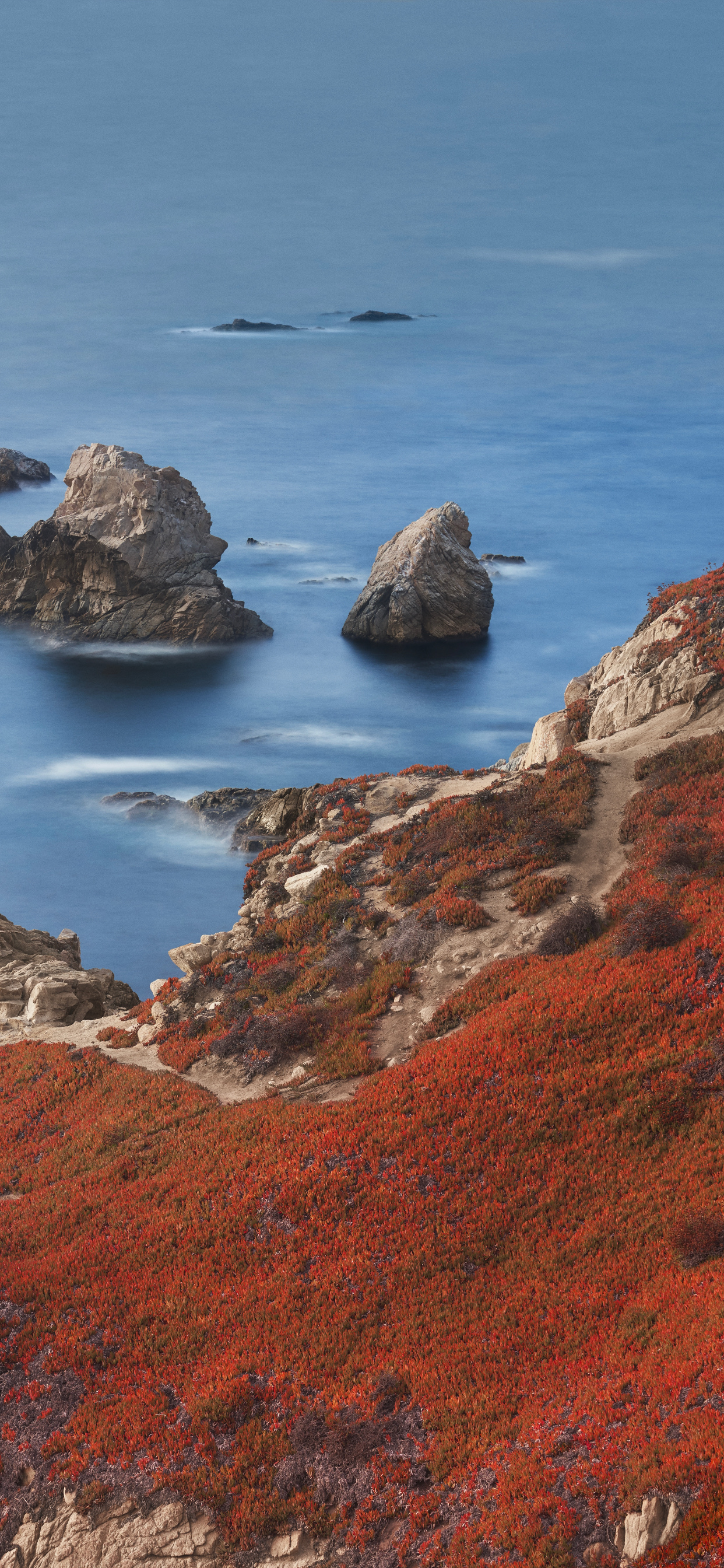 Обои apple, iPhone 12 Pro, iPhone 12 Pro Max, iPhone XS Max, macOS Big Sur в разрешении 1242x2688