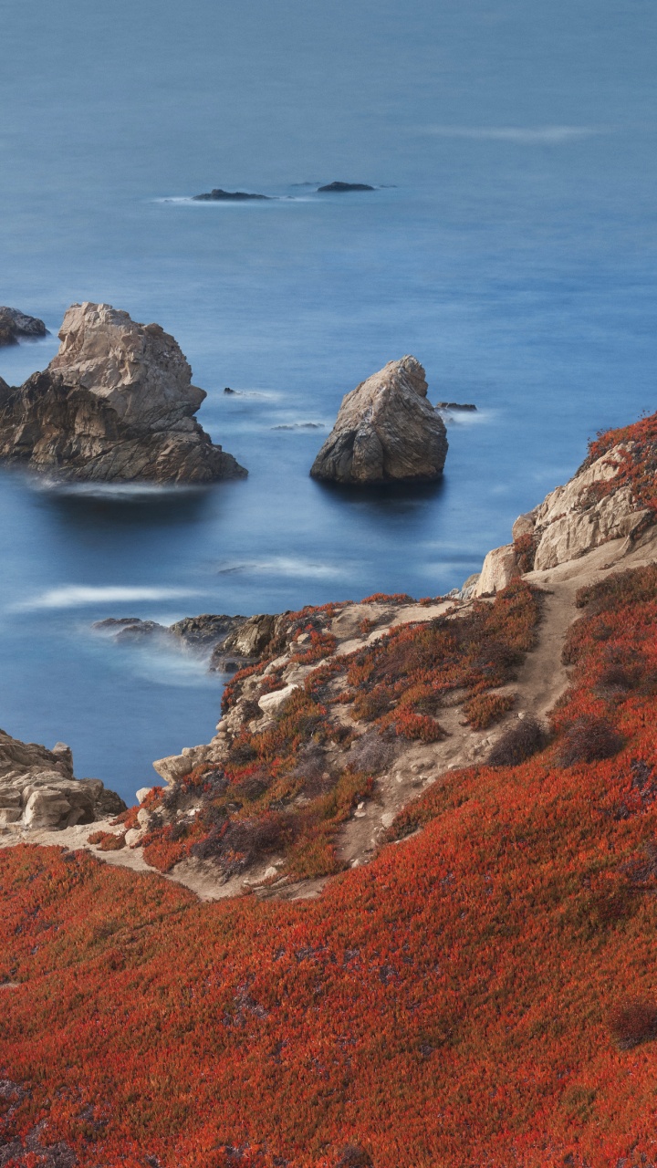 Обои apple, iPhone 12 Pro, iPhone 12 Pro Max, iPhone XS Max, macOS Big Sur в разрешении 720x1280