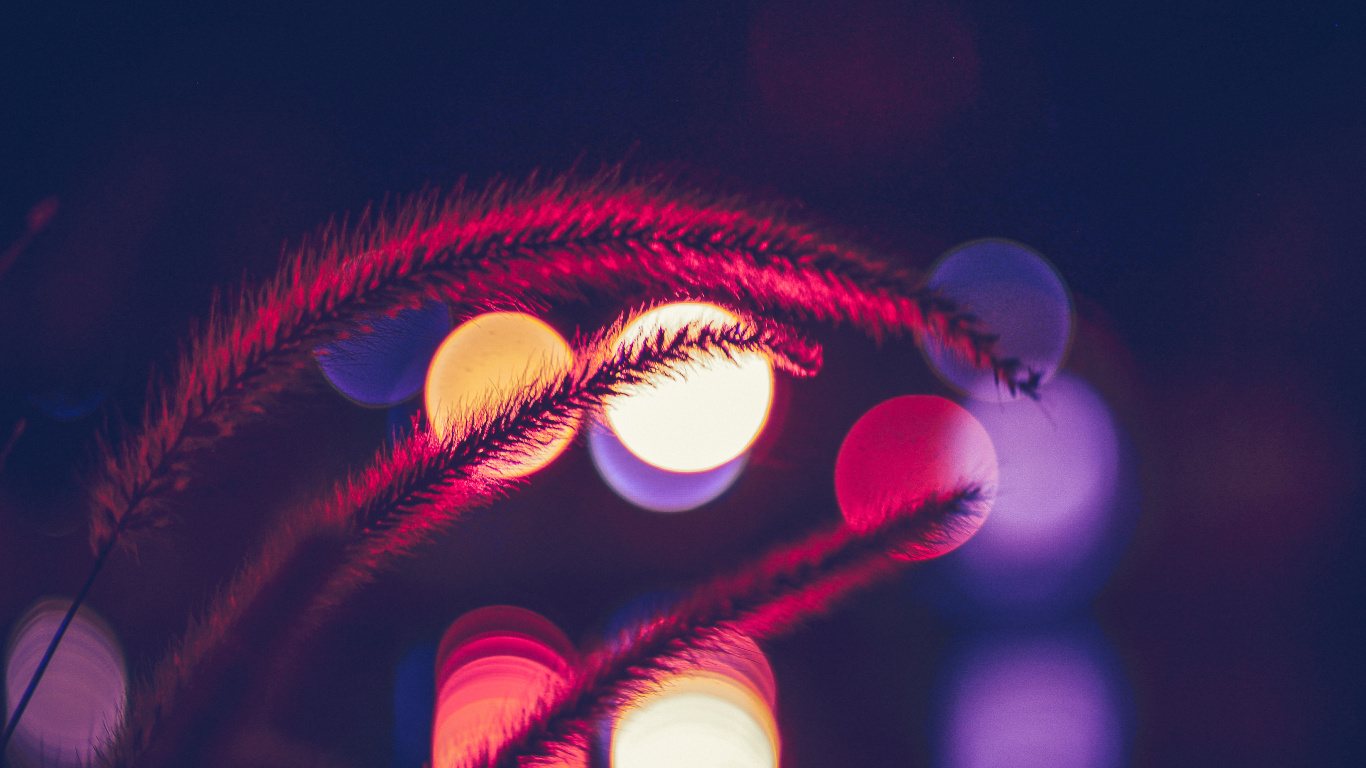 Обои боке, синий, красный цвет, свет, пурпур в разрешении 1366x768