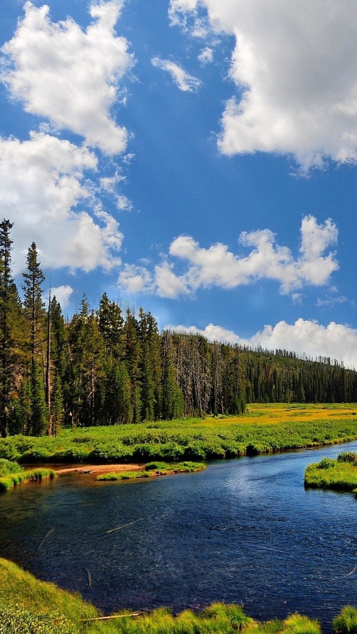 Обои реки снейк, реки, природа, дикая местность, природный заповедник в разрешении 720x1280