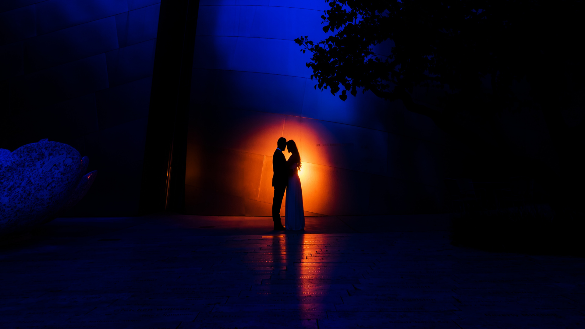 Обои синий, свет, ночь, темнота, дерево в разрешении 1920x1080