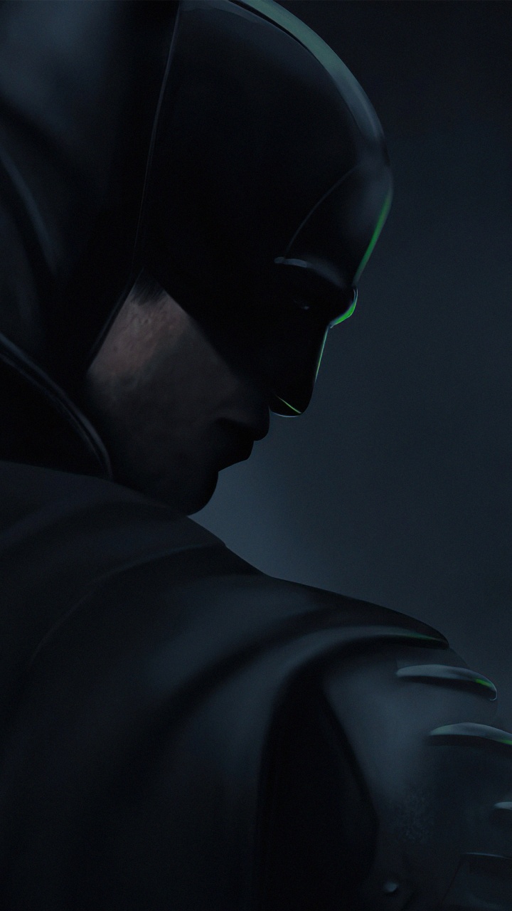 Обои Бэтмен, денщик, женщина кошка, супергерой, комиксы dc в разрешении 720x1280