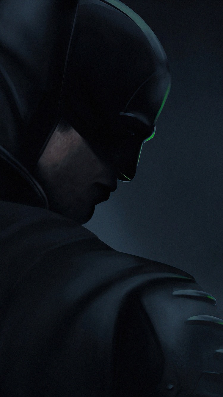 Обои Бэтмен, денщик, женщина кошка, супергерой, комиксы dc в разрешении 750x1334