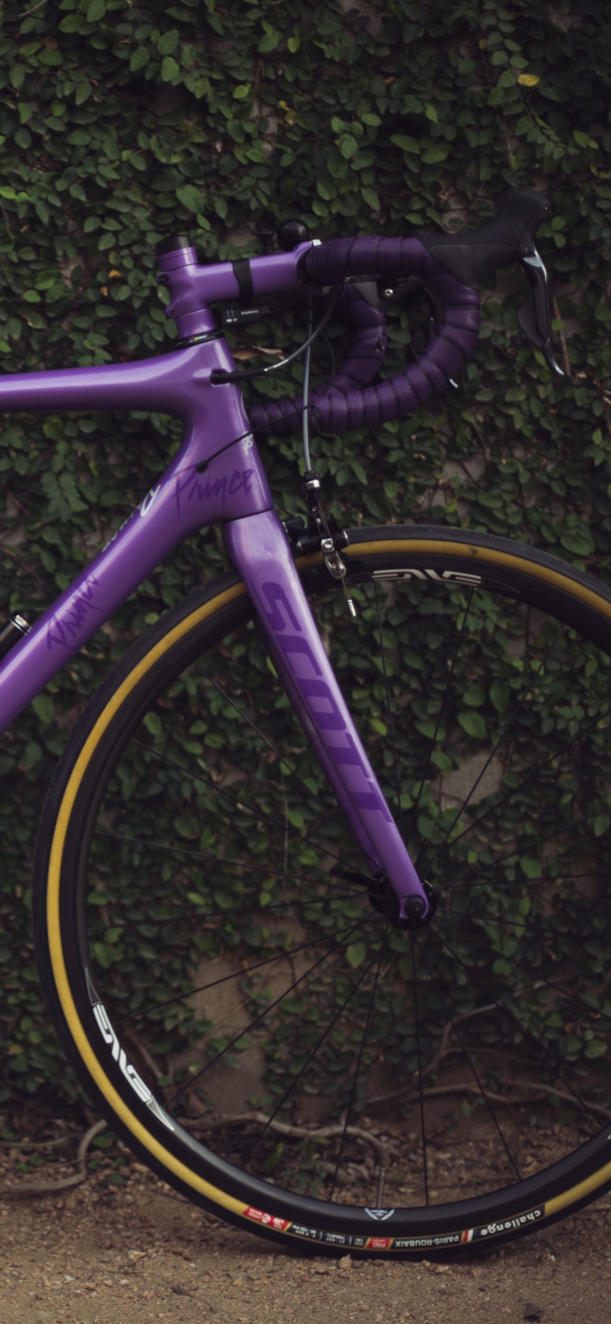 Обои велосипед, дорожный велосипед, велосипедное колесо, горный велосипед, Велоспорт в разрешении 1242x2688