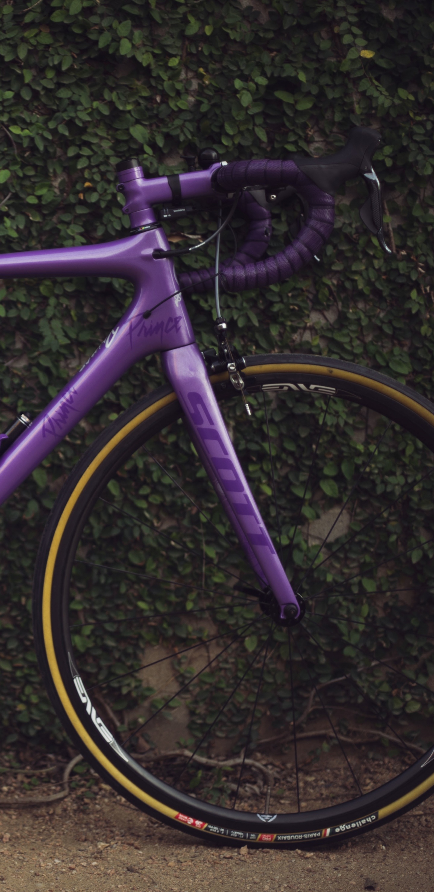 Обои велосипед, дорожный велосипед, велосипедное колесо, горный велосипед, Велоспорт в разрешении 1440x2960