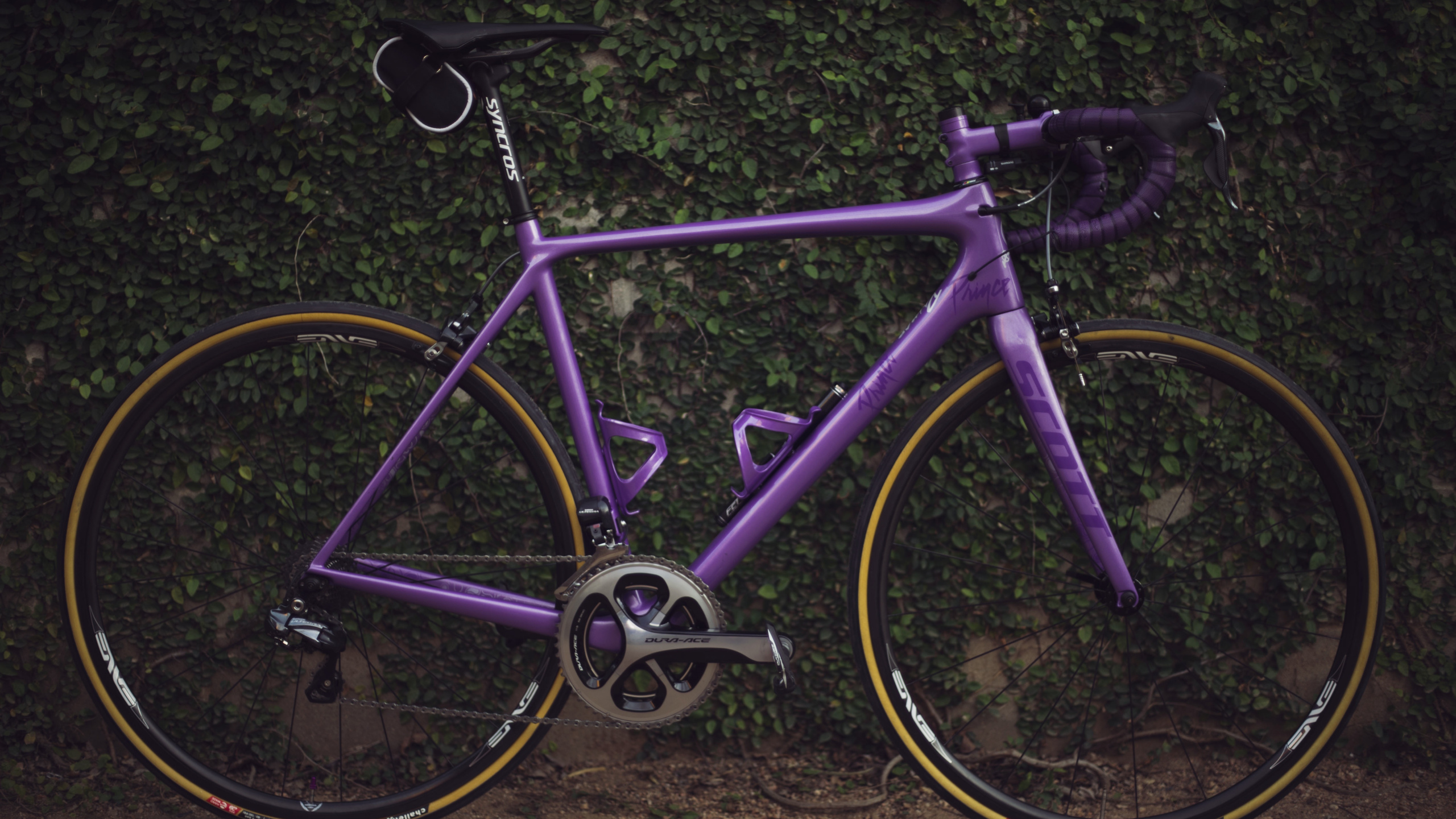 Обои велосипед, дорожный велосипед, велосипедное колесо, горный велосипед, Велоспорт в разрешении 2560x1440