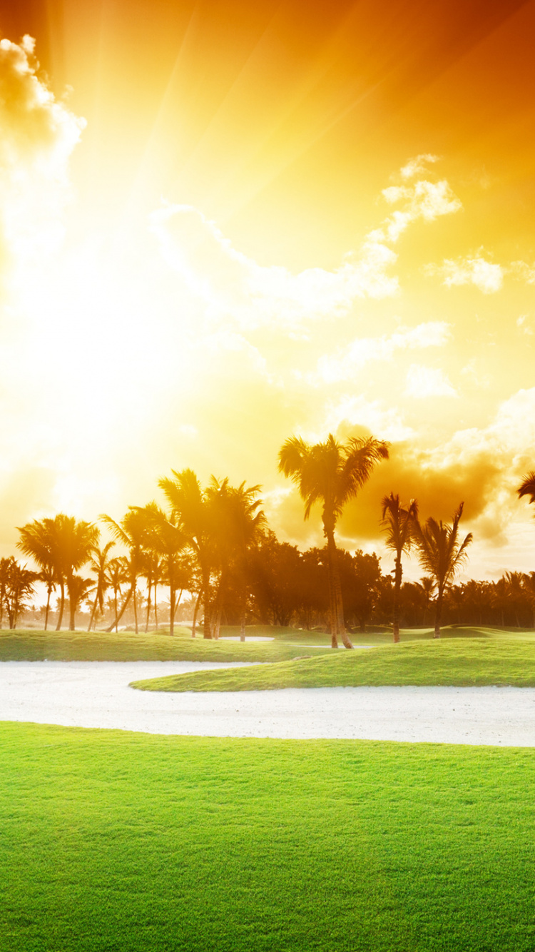 Обои площадка для гольфа, гольф, природа, дневное время, солнечный свет в разрешении 750x1334