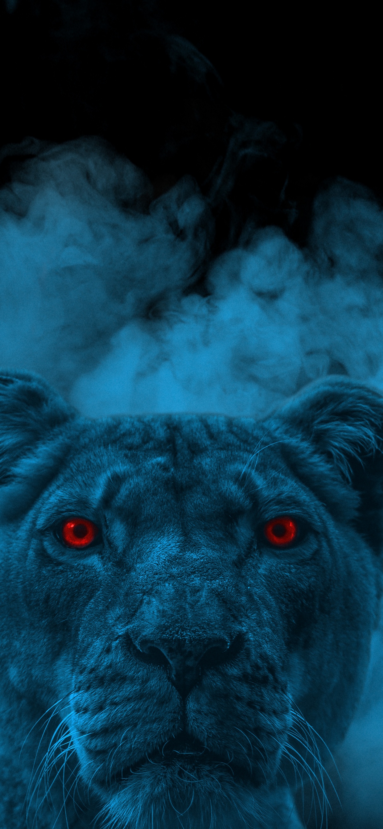 Обои Лев, кошачьих, лазурный, собака породы, датский дог в разрешении 1242x2688