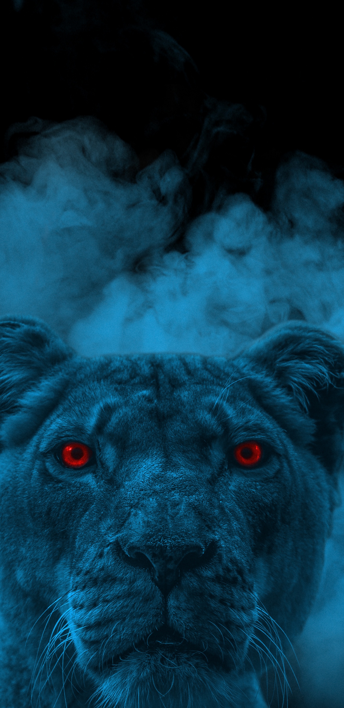 Обои Лев, кошачьих, лазурный, собака породы, датский дог в разрешении 1440x2960