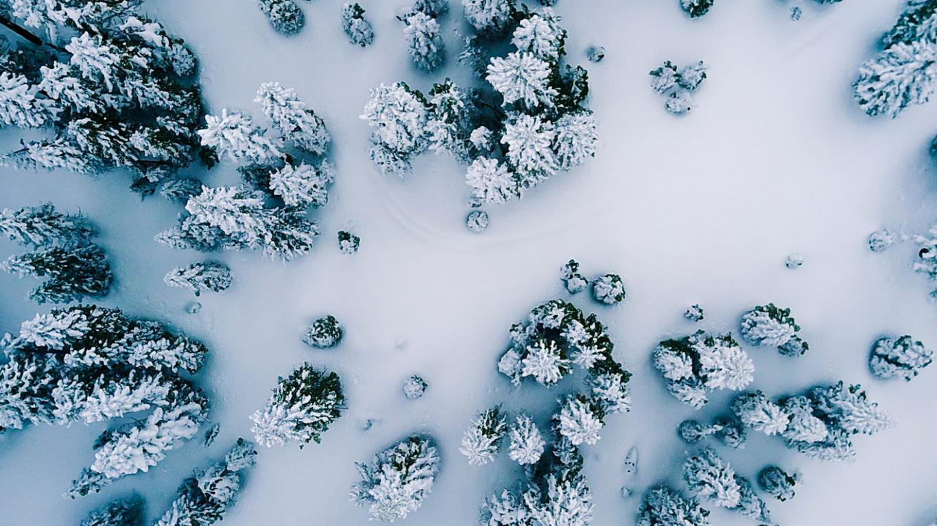 Обои вода, узор, красочность, снег, иллюстрация в разрешении 1366x768