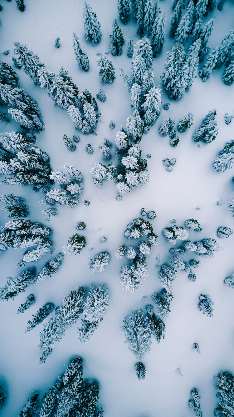 Обои вода, узор, красочность, снег, иллюстрация в разрешении 750x1334