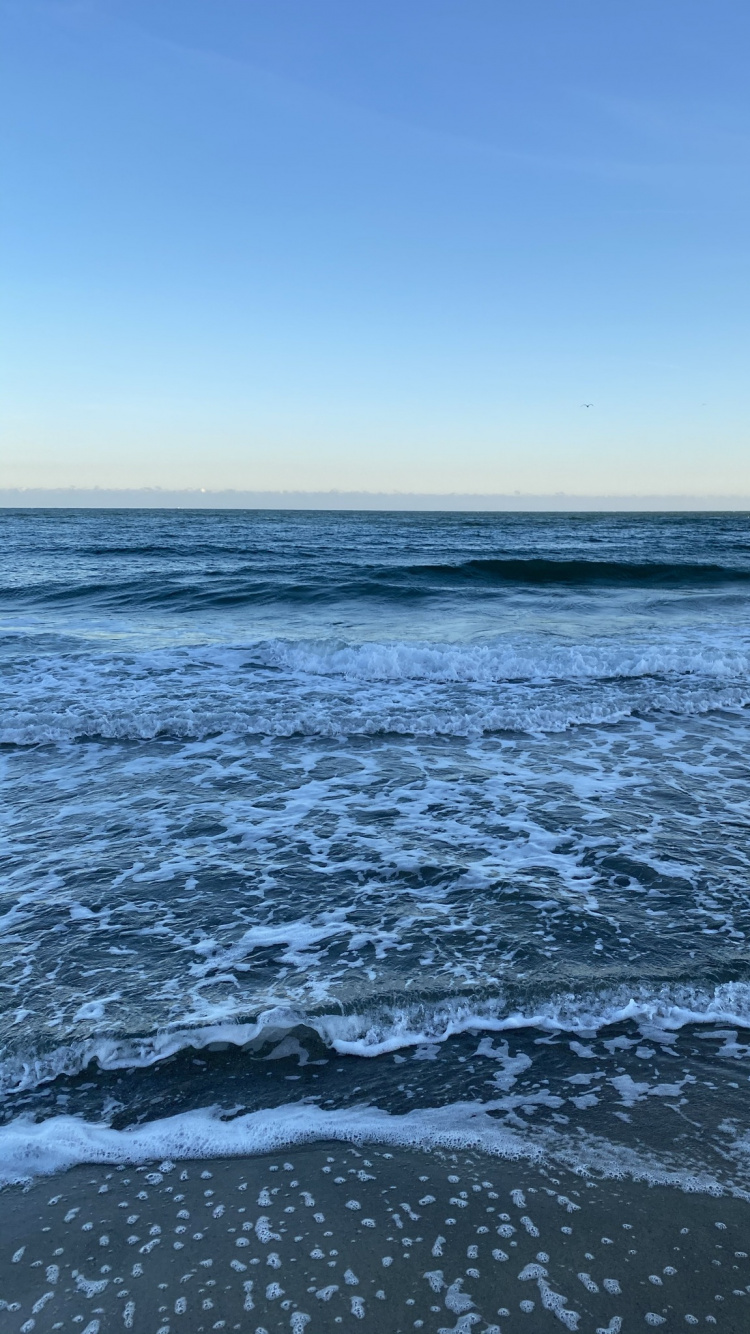 Обои море, речной трамвай Dongal Bay, Канада, жилье, путешествие в разрешении 750x1334