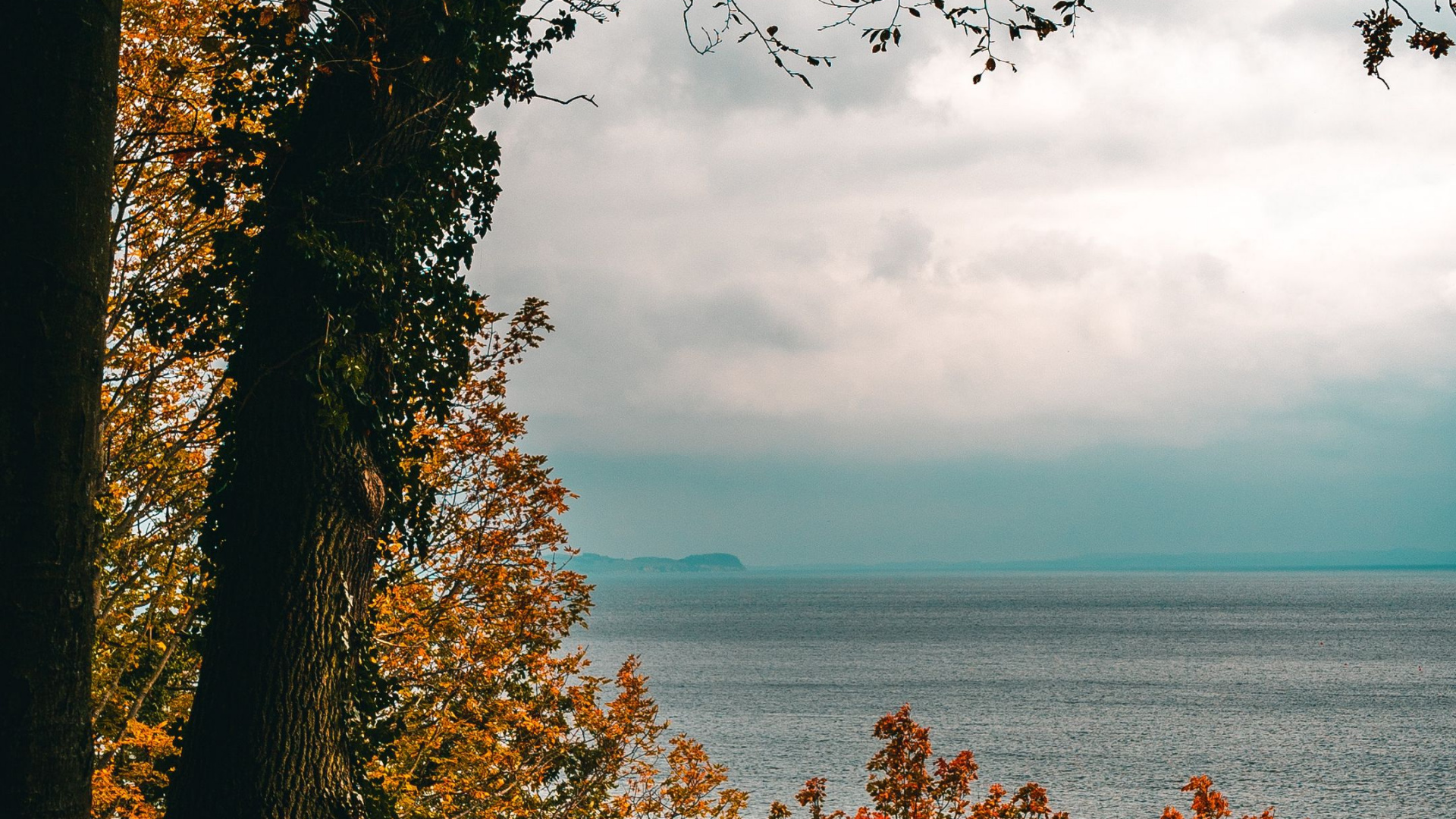 Обои природа, таблица, облако, вода, растение в разрешении 1920x1080