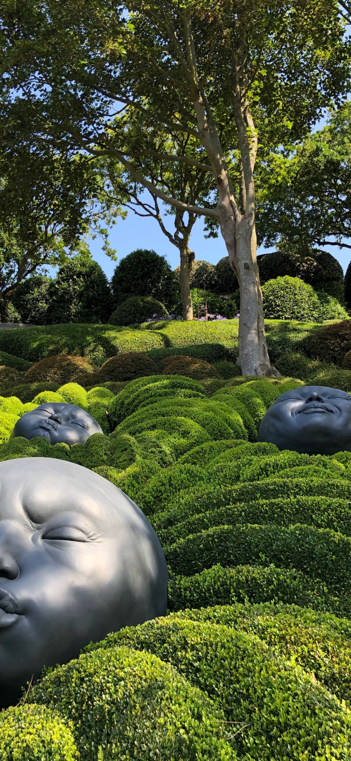 Обои природа, сад, хедж, скульптура, почвопокровная в разрешении 1125x2436