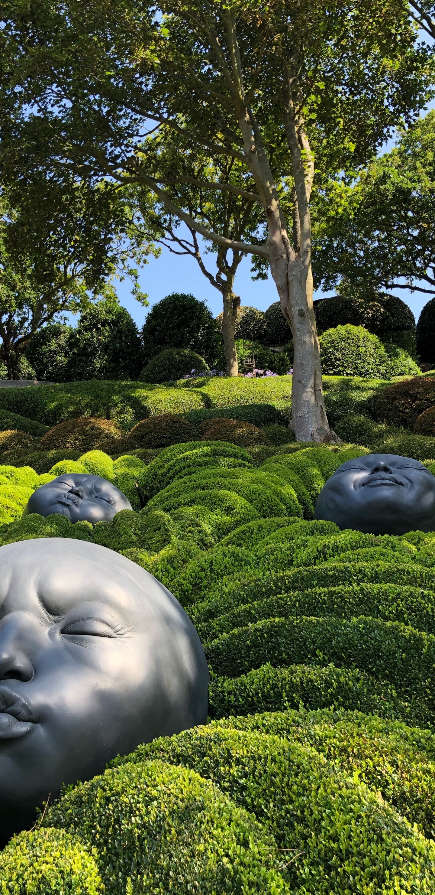 Обои природа, сад, хедж, скульптура, почвопокровная в разрешении 1440x2960