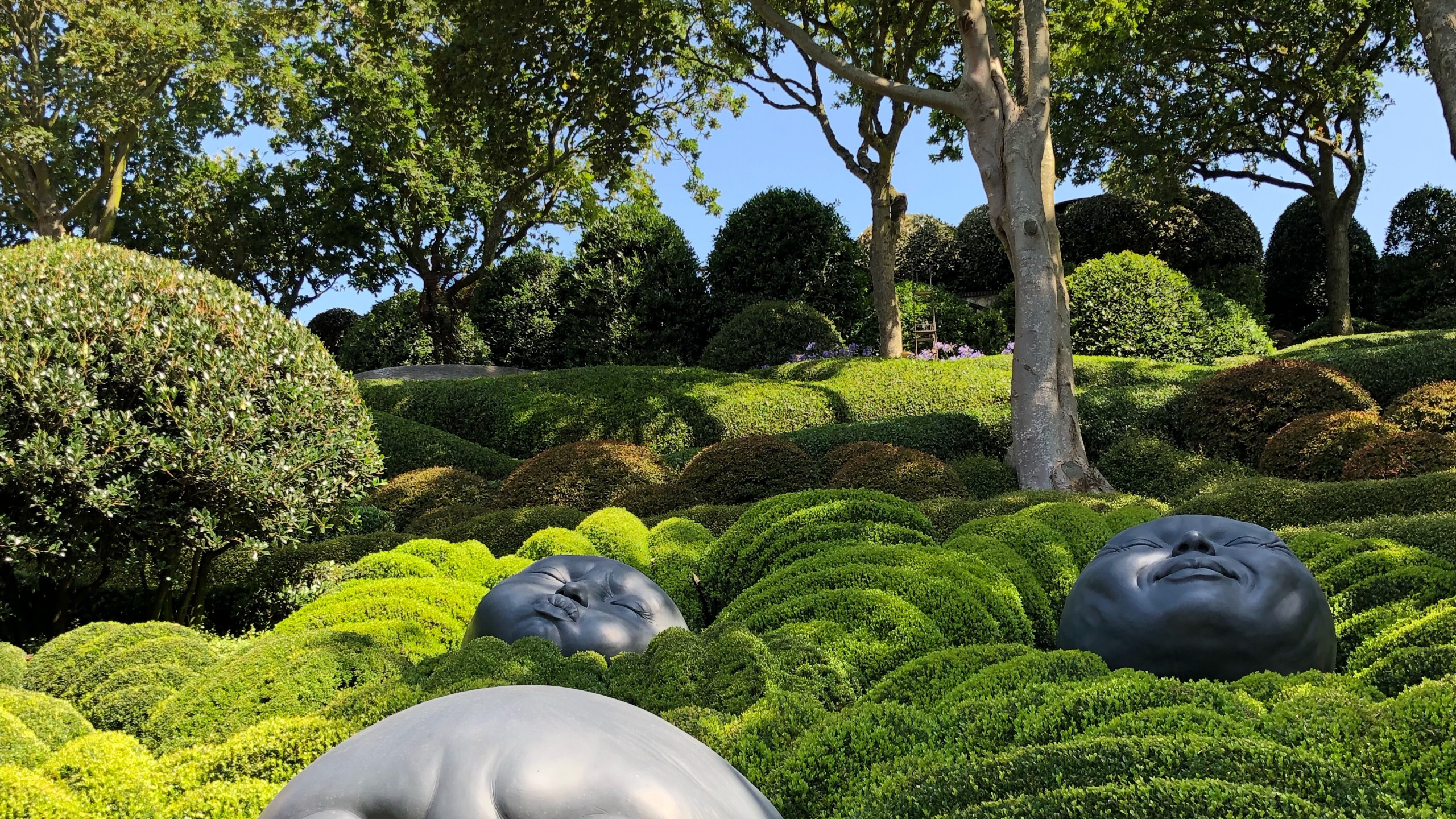 Обои природа, сад, хедж, скульптура, почвопокровная в разрешении 2560x1440