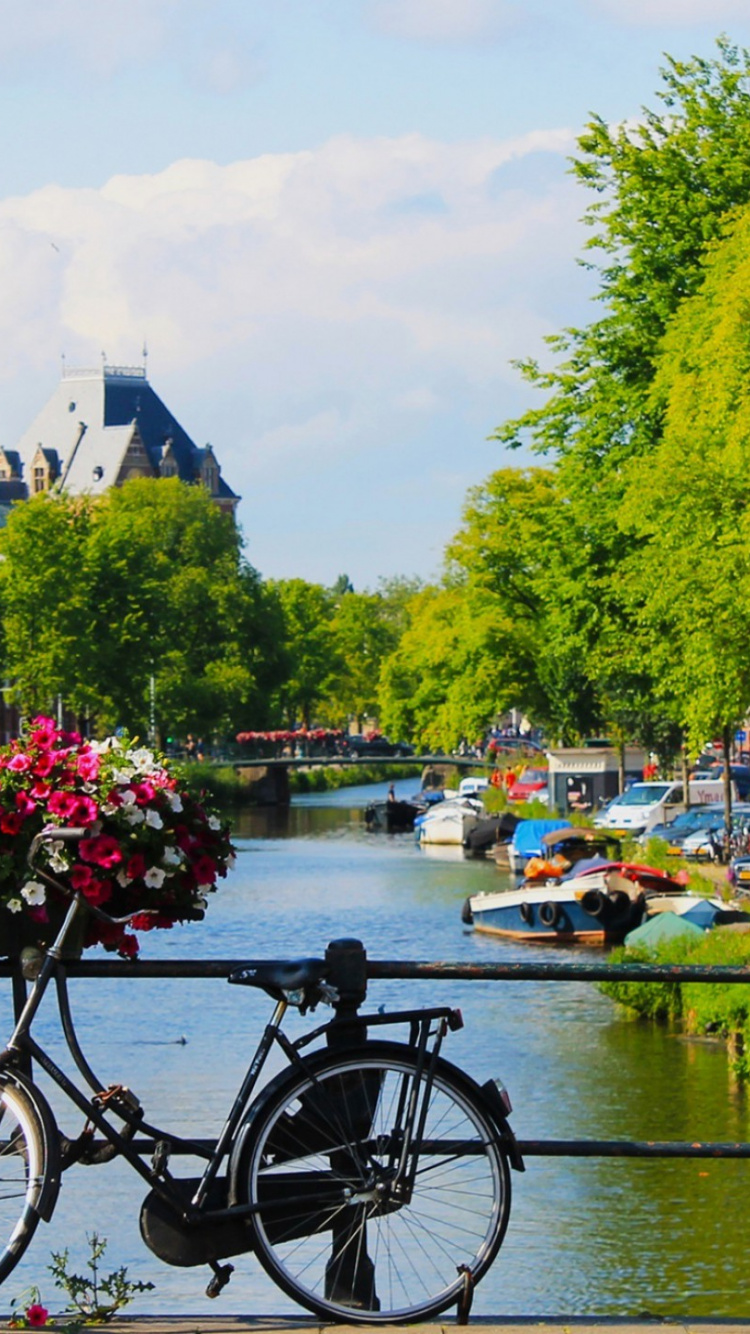 Обои велосипед, водный путь, канал, Велоспорт, растение в разрешении 750x1334
