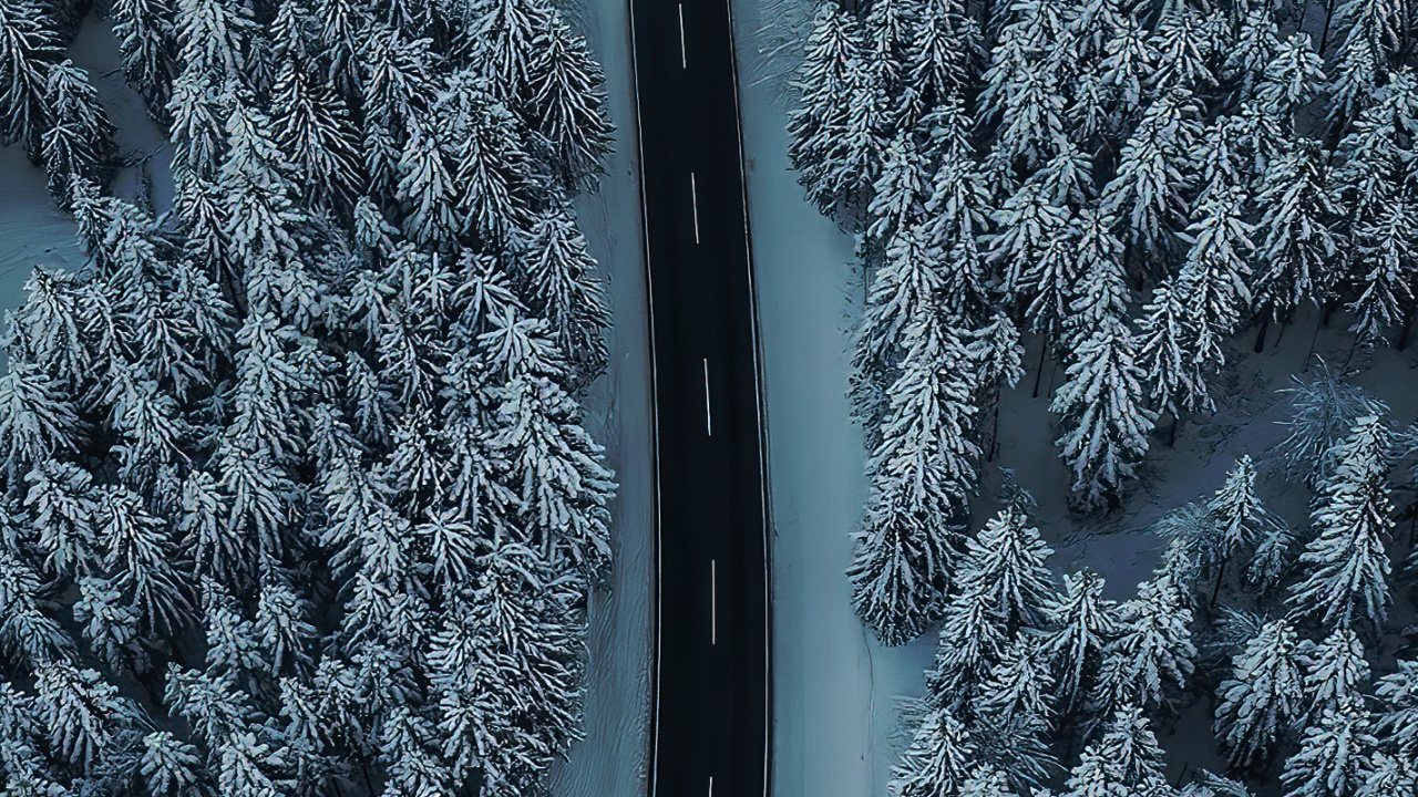 Обои замораживание, вода, автомобильные шины, растение, снег в разрешении 1280x720