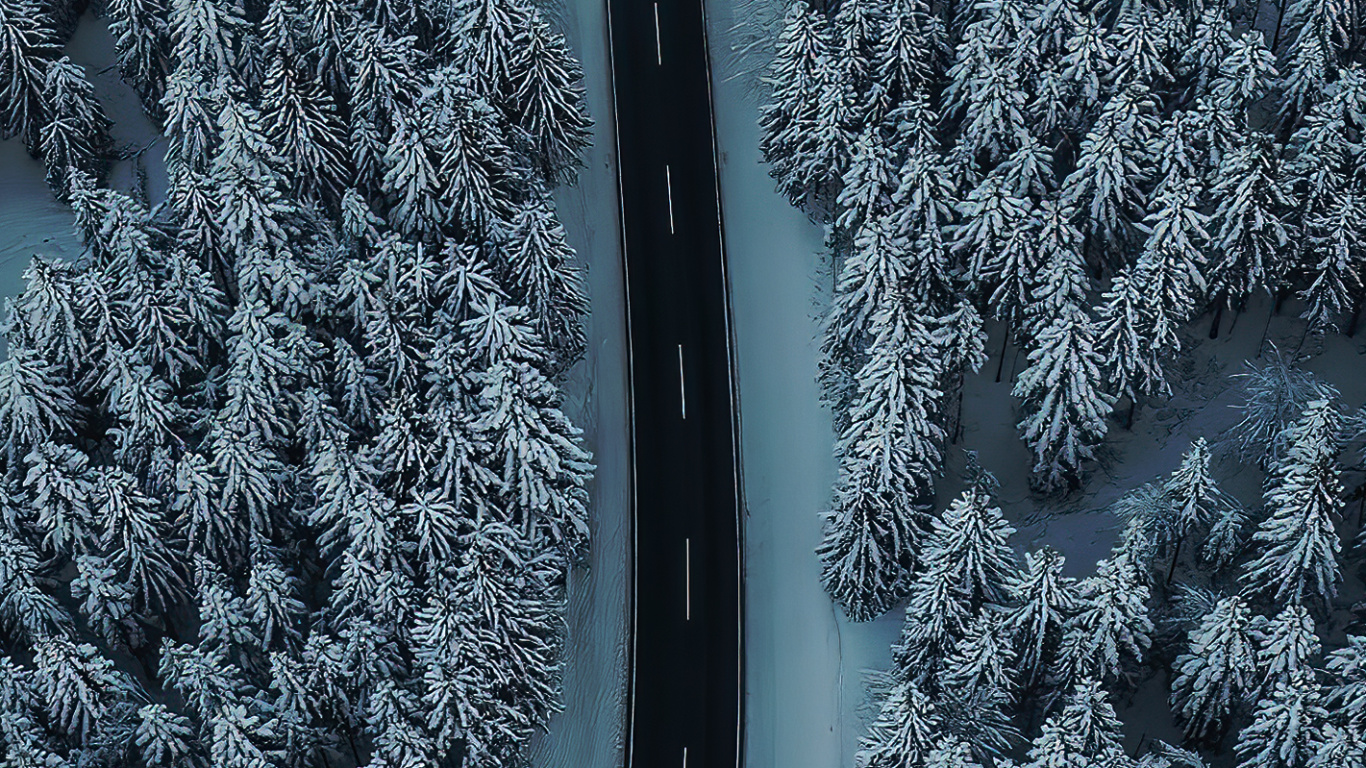 Обои замораживание, вода, автомобильные шины, растение, снег в разрешении 1366x768